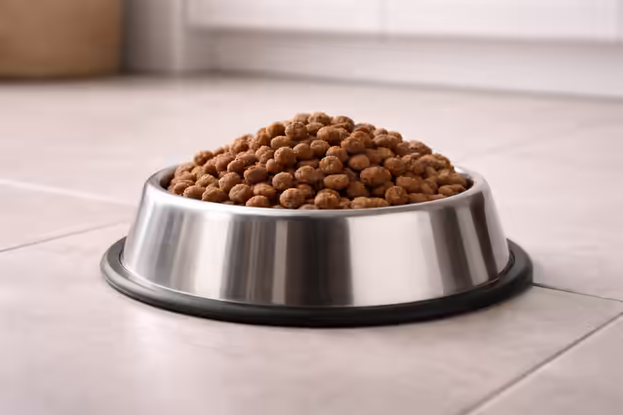 Is Your Dog Food Safe Study Flags Toxic Metal Levels like Lead, Mercury