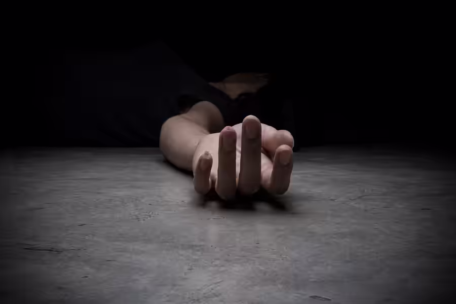 मेरठ मर्डर: पति की हत्या में दामिनी ने पार की हैवानियत की हद, सामने आई खौफनाक साजिश