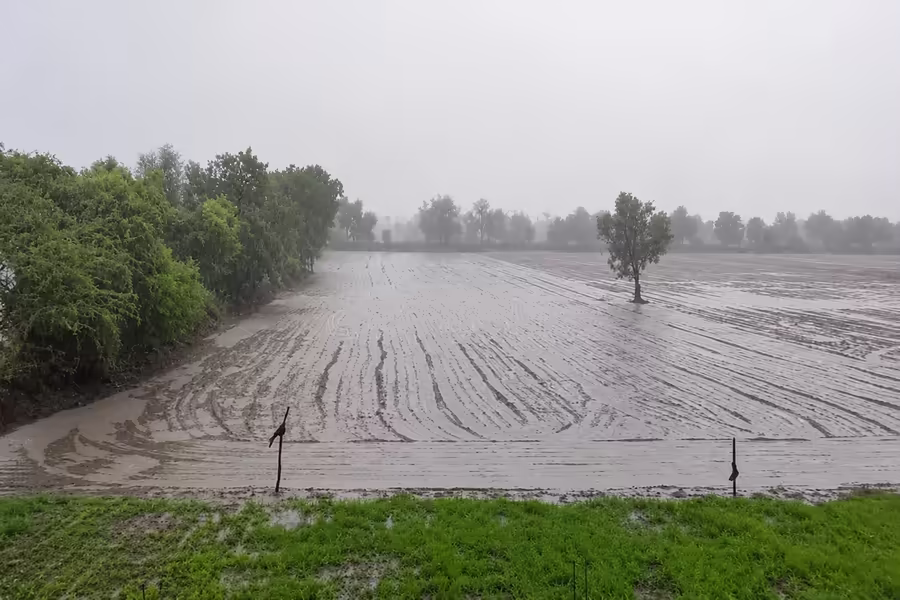 प्रयागराज में झमाझम बारिश से किसानों को राहत, खेतों में भरा पानी; तापमान में आई गिरावट