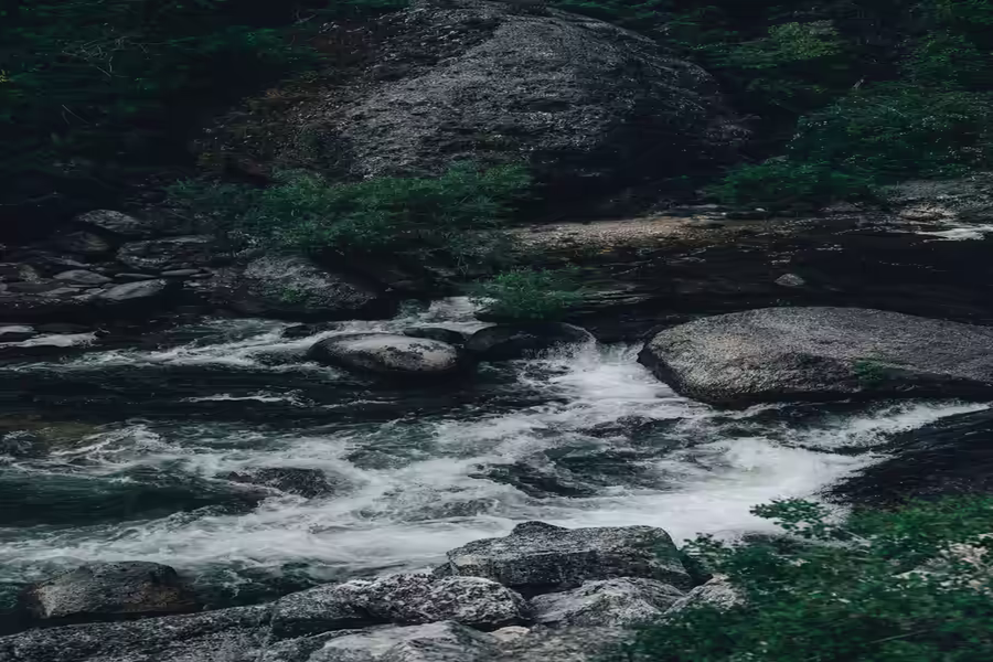 प्रयागराज में गंगा-यमुना का जलस्तर बढ़ा, 4 घंटे में गंगा 20 और यमुना 14 सेंटीमीटर चढ़ी 1 yamuna 1