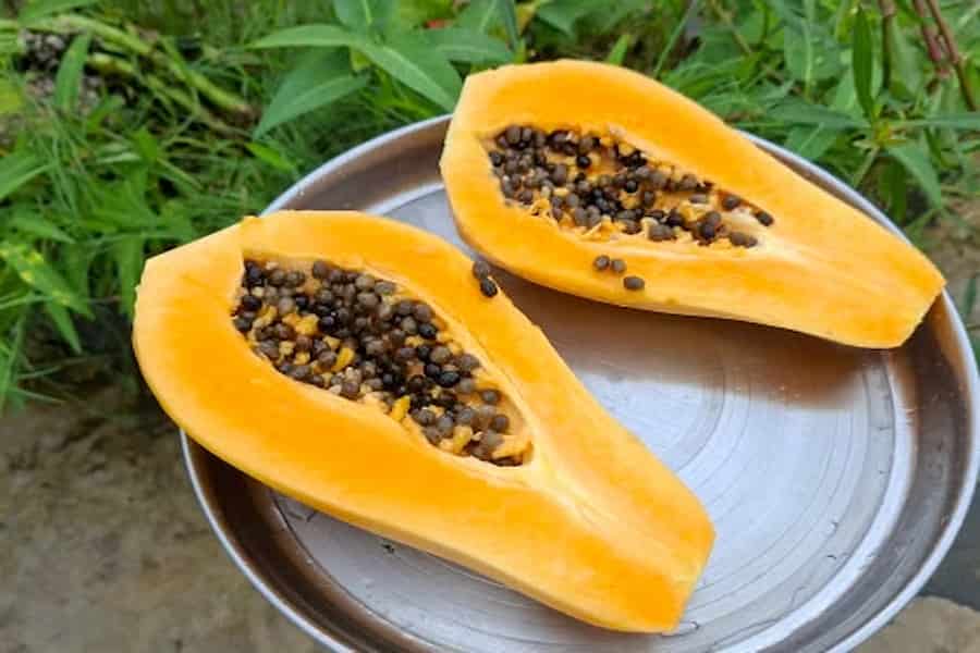 प्लेटलेट्स बढ़ाने के लिए क्या खाएं? डॉक्टर से जानें 10 फूड्स और इन्हें हेल्दी रखने का सही तरीका 3 image 2
