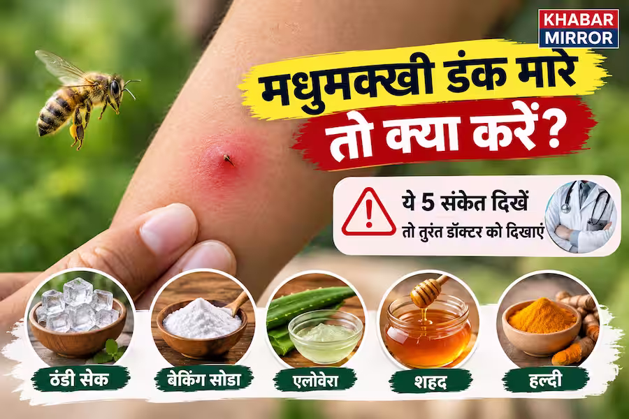 मधुमक्खी के डंक से सूजन और दर्द? अपनाएं ये 6 आसान उपाय, सांस लेने में दिक्कत समेत ये 5 संकेत हों तो सावधान