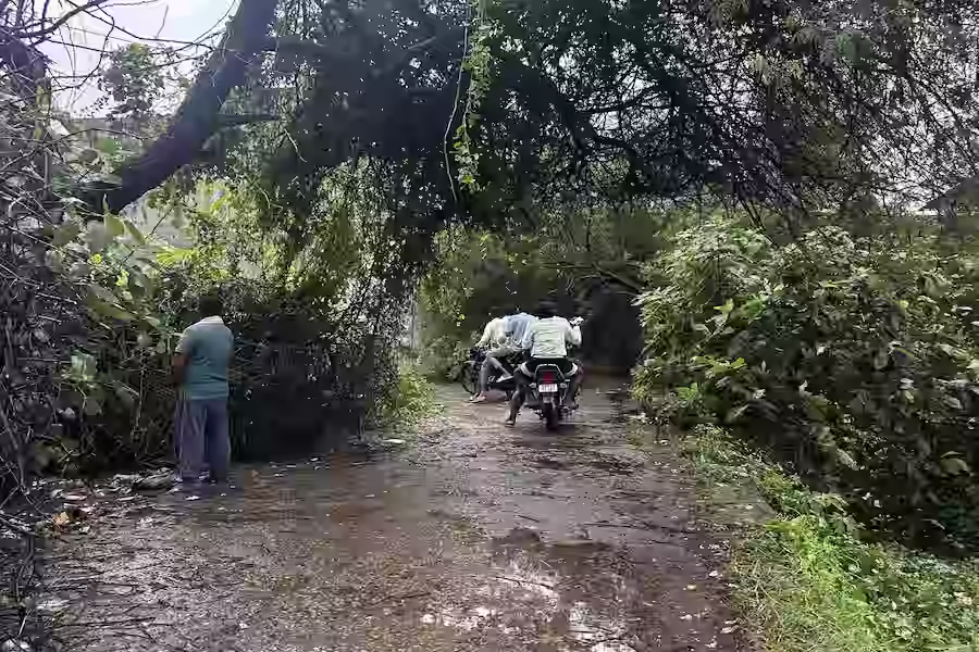 रांची में चक्रवात का असर: 40 से ज्यादा जगह पेड़ गिरे, बिजली के कई पोल क्षतिग्रस्त